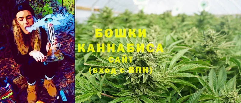 Бошки марихуана White Widow  Острогожск 